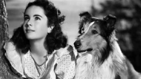 Lassie Come Home 1943
