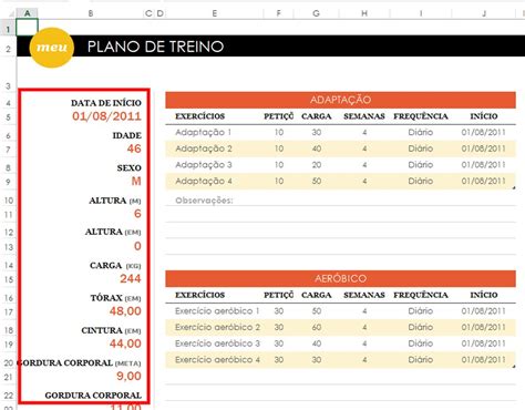 Planilha De Treino De Muscula O No Excell Como Baixar E Usar O Modelo