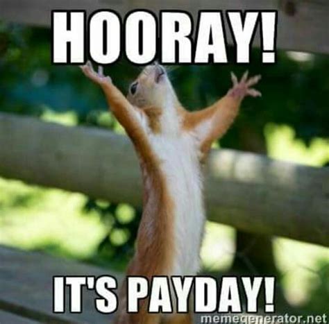 Pay Day Is The Best Squirrel Funny Cute I Love You Squirrel Memes
