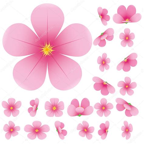 Sakura Flowers — Stock Vector © Marketolya 5140000