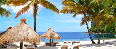 Lange strände aus feinem weißem sand und palmen wachsen am ufer des meeres, ein paradiesisches ambiente: Martinique - Das französische Tropenparadies | Travelmyne.de