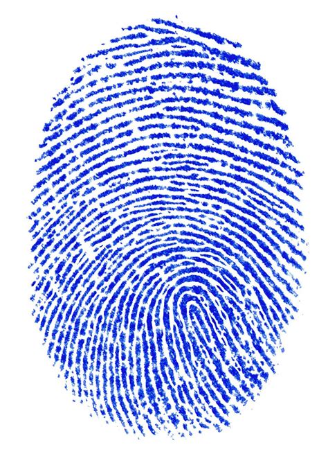 Free Fingerprint Stock Photo