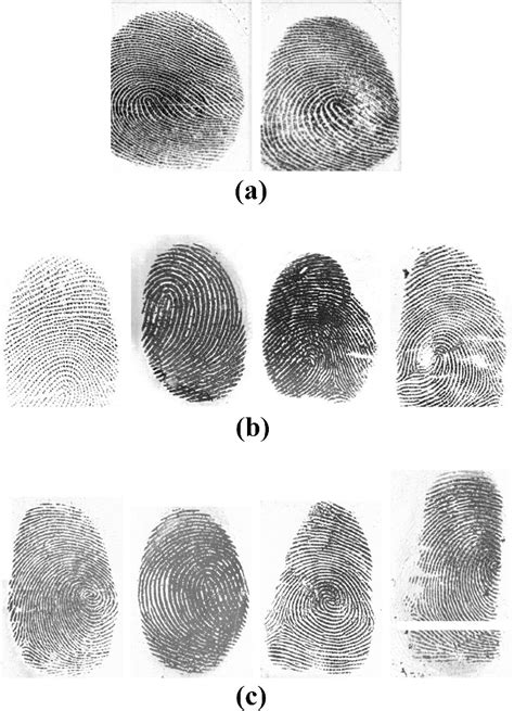 Examples Of Live And Fake Fingerprint Images Obtained By Different
