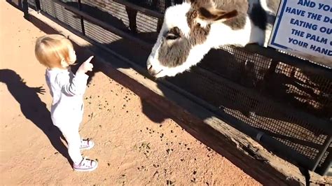 Cutest Kids Vs Zoo Animals Ultimate Funny Compilation 2018 Funny Pet