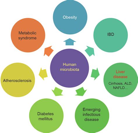 The Human Microbiota In Health And Disease