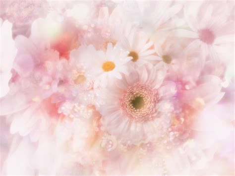 Soft Pink Floral Art