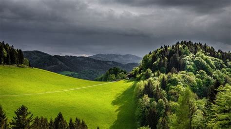 1249653 Hd Green Forest And Greenfield Landscape Rare Gallery Hd