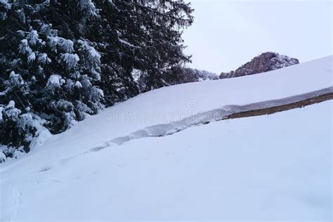 Large Crack In Snow To Ground The Beginning Of An Avalanche A Snow