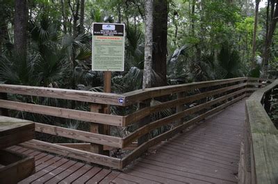 The trail winds through marsh & floodplains with an abundance of hardwoods & foliage. Black Bear Wilderness Area Loop Trail, Sanford, Florida ...