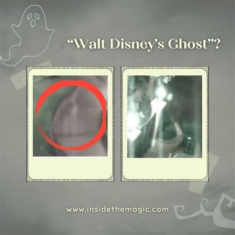 disneyland security footage once caught walt disney s ghost roaming the park inside the
