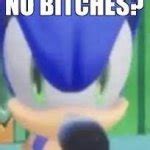 Sonic No Bitches Meme Generator Imgflip