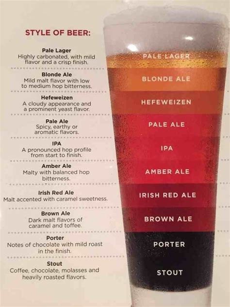 Pin By Katsutoshi Kondo On Infographicalness Beer Infographic Beer