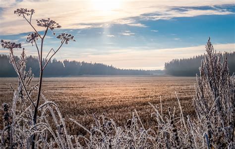 Sunny Winter Landscape Free Photo On Barnimages
