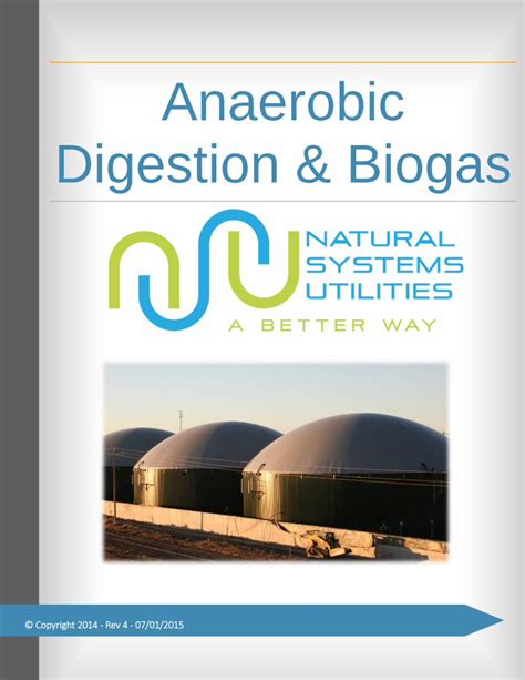 Pdf Anaerobic Digestion And Biogas American Biogas Council · Pdf