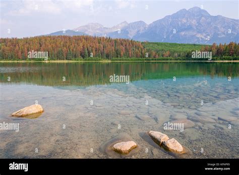 Patricia Lake Jasper National Park Stock Photo Alamy