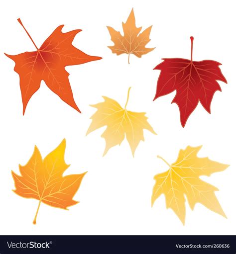 New Autumn Leaves Vector Png Ilutionis