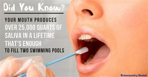 your mouth produces over 25000 quarts of saliva in a lifetime that s enough to fill two swimming