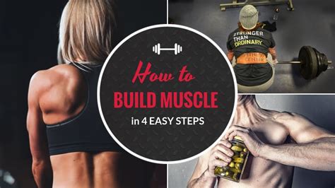 How To Build Muscle For Women Youtube