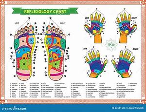 Hand Reflexology Chart With Description Of The Corresponding Internal