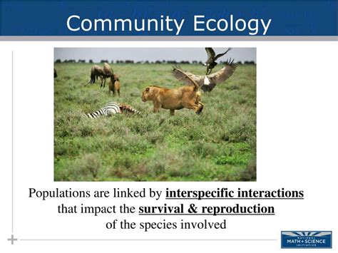 Ppt Ecology Community Ecology Powerpoint Presentation Free Download