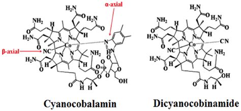 Structures Of Cyanocobalamin Cbl Left Panel And Dicyanocobinamide