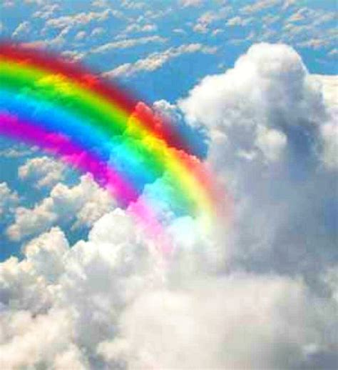 Free Download Clouds Rainbows 1281x1401 1281x1401 For Your Desktop