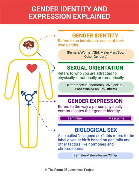 What Is Gender Identity Definitions Examples And Insi