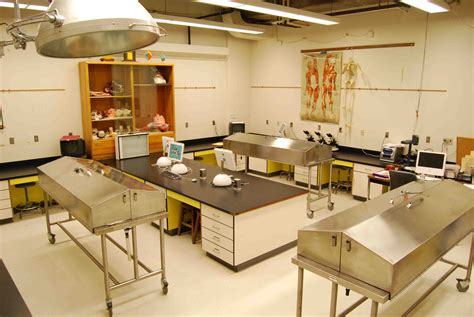 Lab Overview Human Anatomy Nebraska