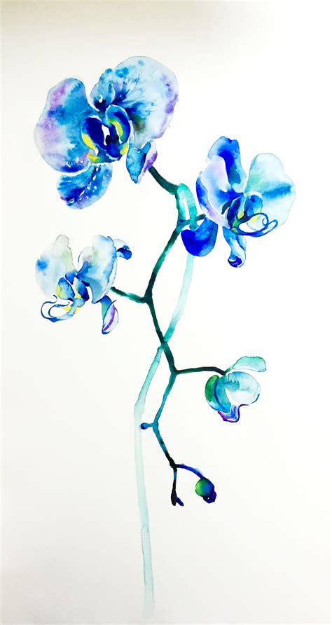 Qsong Blue Orchid Tattoo Orchid Tattoo Blue Orchids