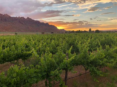 Wineries — Discover Moab Utah