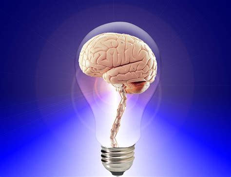 Da un me gusta cuando lo consigas. Cómo estimular el cerebro: ejercicios mentales y físicos | MiGelatina.com