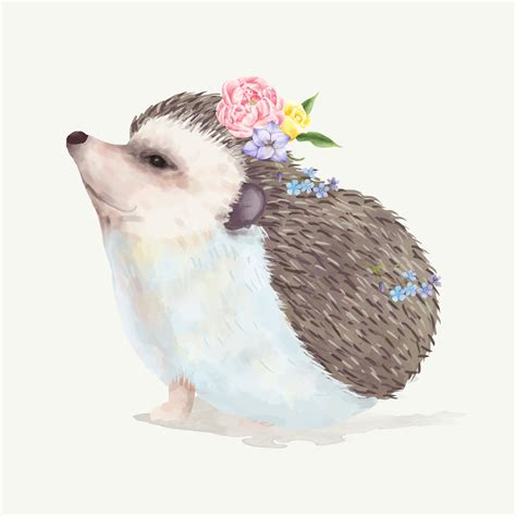 Illustration Of A Baby Hedgehog Download Free Vectors Clipart