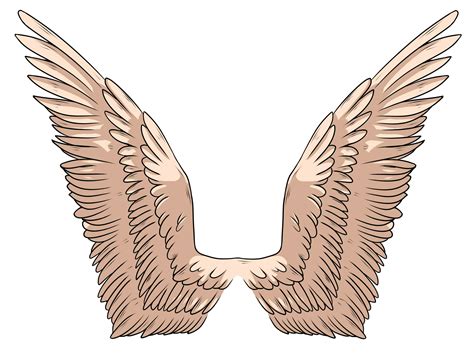 How To Draw Angel Wings 14 Steps With Pictures Wikihow