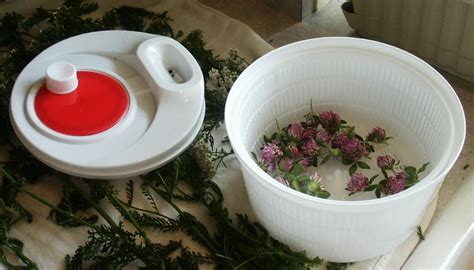 Simple Tips For Harvesting Herbs 3 Easy Ways To Dry Herbs Guest Post