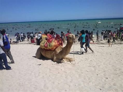 Top Most Visited Places Mombasa Affordable Tour Company In Kenya