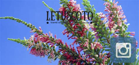 Top 10 Tips To Take Killer Instagram Pics While Travelling Letusgoto