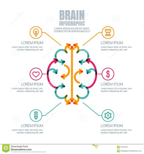 Vector Brain Infographics Design And Icons Set Stock Vector
