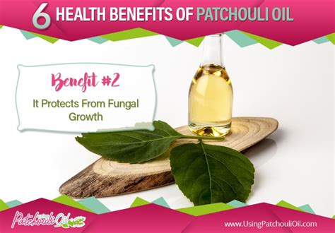 Using Patchouli Oil 6 Health Benefits Of Patchouli Oil