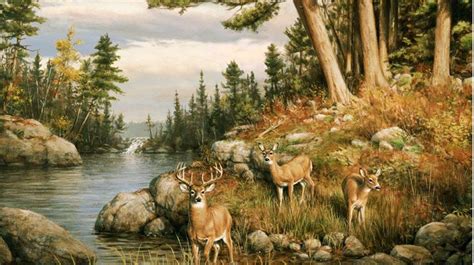 Wall Mural Deer Wall Murals Are All Good To Go On For