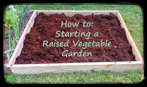 Greneaux Gardens How To Starting A Raised Vegetable Garden