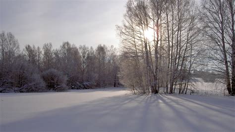 Bekijk meer ideeën over sneeuw, sneeuwwitje, sneeuwwitje disney. Sneeuw Wallpapers | HD Wallpapers