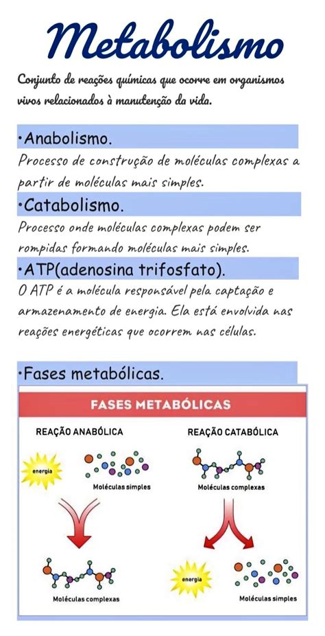 Mapa Mental Sobre Metabolismo Study Maps