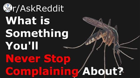 Mosquitoes And Other Things We Will Never Stop Complaining About R