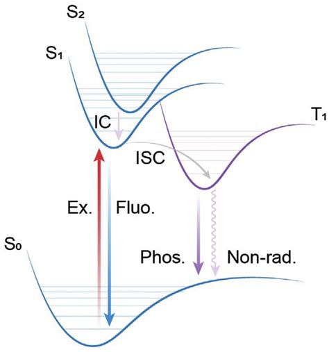 Schematic Jablonski Diagram With Basic Photophysical Processes Involved