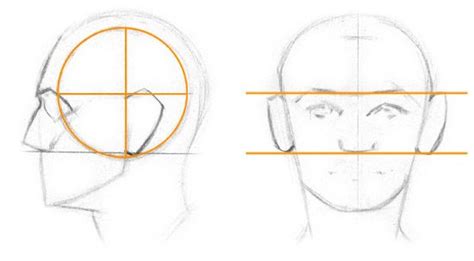 How To Draw Ears Anatomy And Structure Stan Prokopenko Drawing