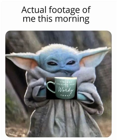 Baby Yoda Actual Footage Of Me This Morning Yoda Funny Yoda Meme