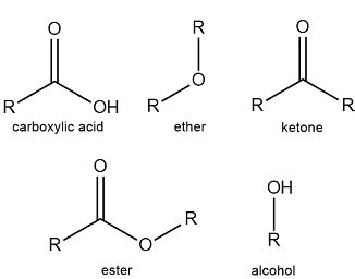 Organic chemistry nomenclature naming functional groups. Solved: Identify the functional groups in Pravachol ...