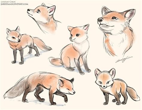 Foxes By Lcibos On Deviantart In 2019 Drawings Fox Drawing Art Sketches