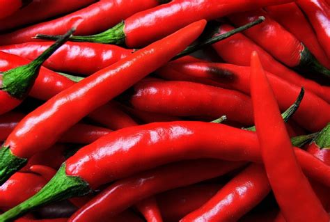 the science of hot chilli peppers this day and that