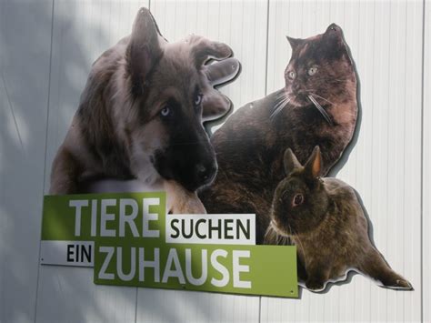Natürlich ist tiere suchen ein zuhause im social web vertreten. Tiere suchen ein Zuhause am 30.9.2018 im WDR - Tierheim ...